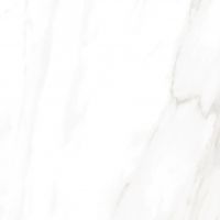 EC Calacatta Gold Polished 24 x 24